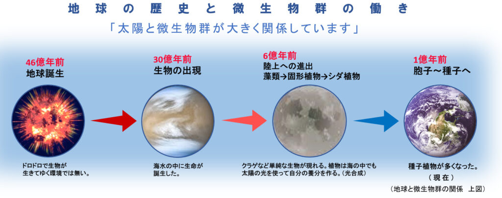 未来を創造する微生物の力 - Nパワープラス